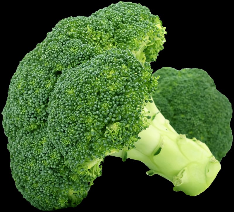 Farm fresh vegetables