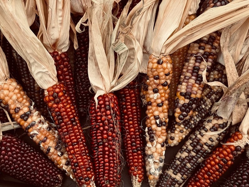 Farm fresh produce
